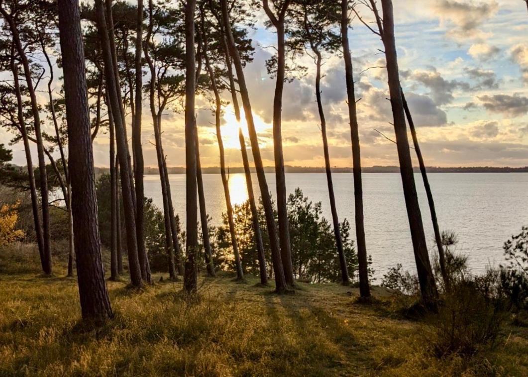 Tallskog - Dein Apartment Am Naturstrand Hohen Wieschendorf Hohenkirchen  Dış mekan fotoğraf