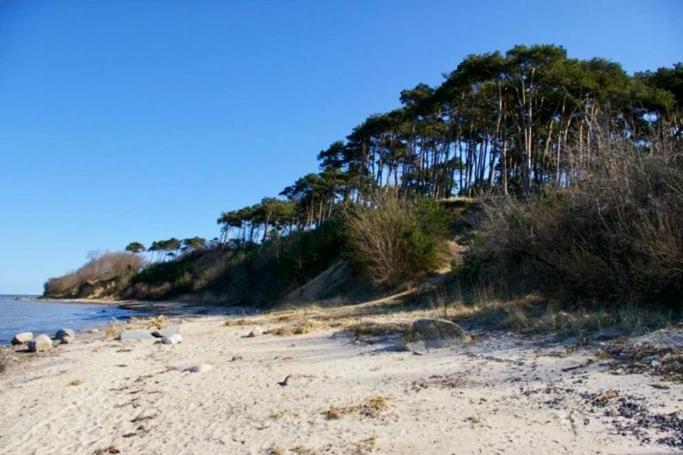 Tallskog - Dein Apartment Am Naturstrand Hohen Wieschendorf Hohenkirchen  Dış mekan fotoğraf