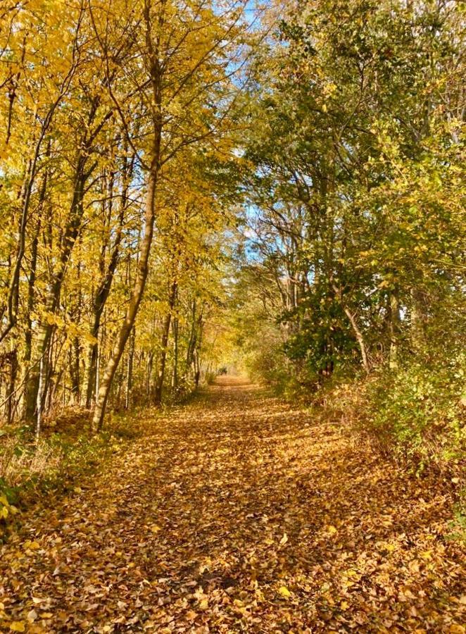 Tallskog - Dein Apartment Am Naturstrand Hohen Wieschendorf Hohenkirchen  Dış mekan fotoğraf