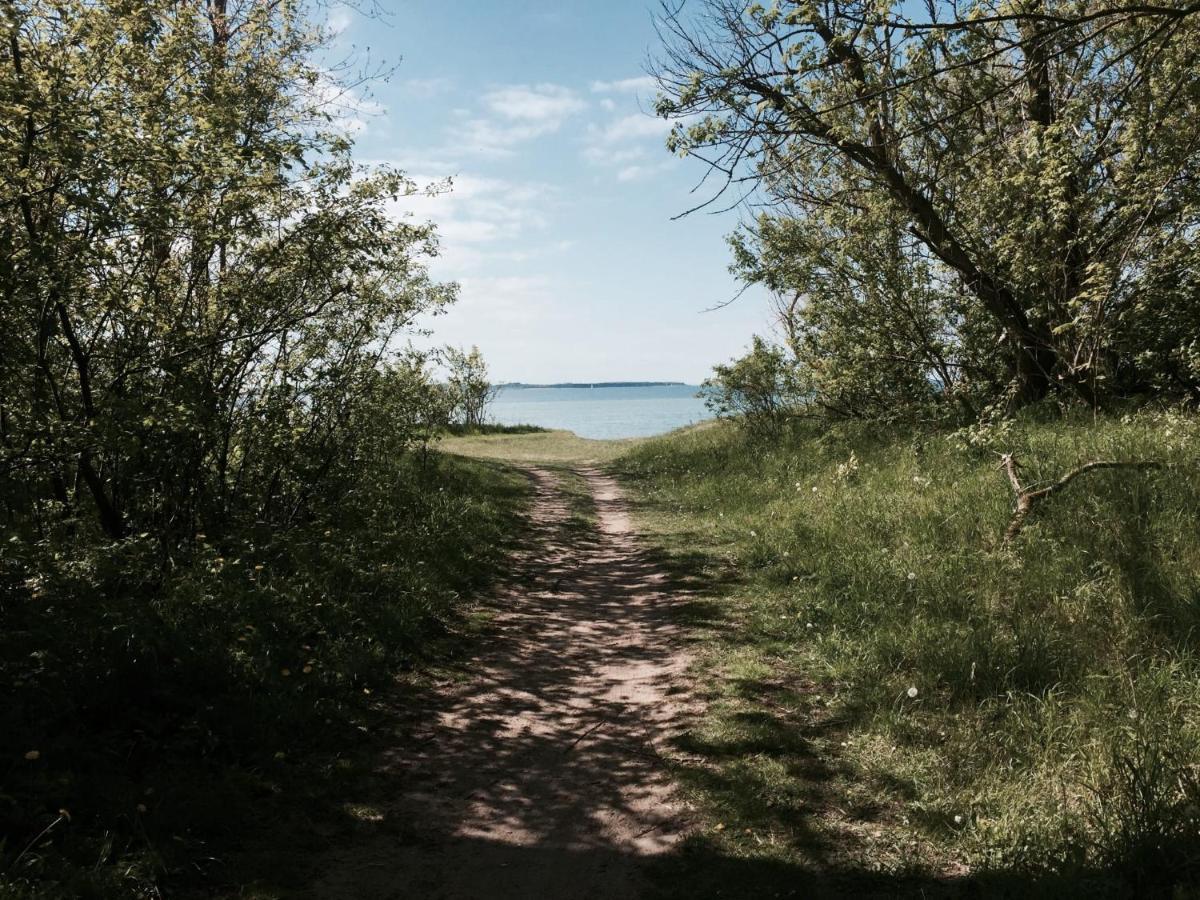 Tallskog - Dein Apartment Am Naturstrand Hohen Wieschendorf Hohenkirchen  Dış mekan fotoğraf