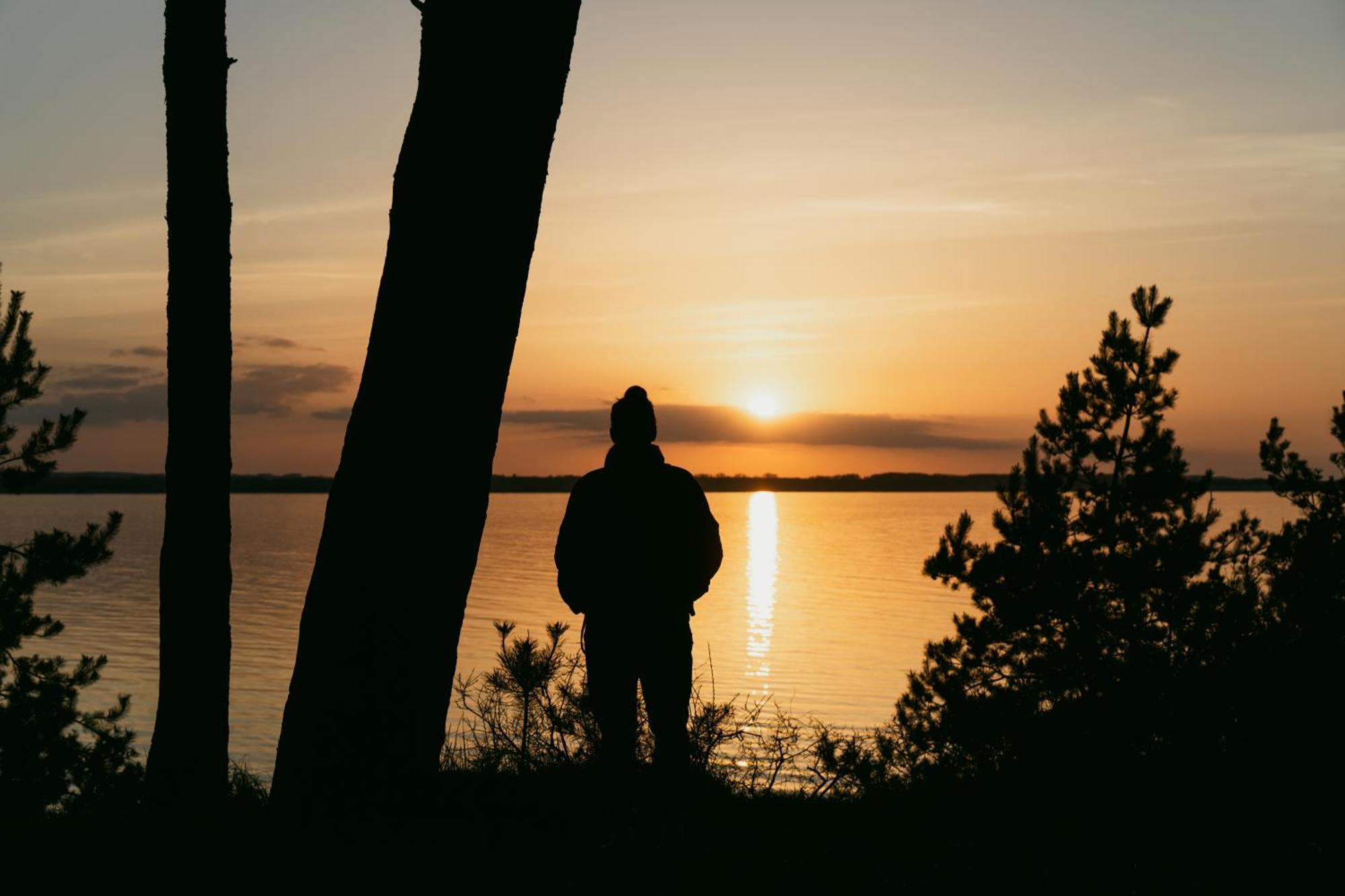 Tallskog - Dein Apartment Am Naturstrand Hohen Wieschendorf Hohenkirchen  Dış mekan fotoğraf